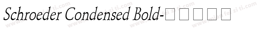 Schroeder Condensed Bold字体转换